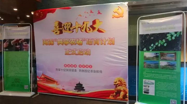 bti体育平台·(中国)官方网站