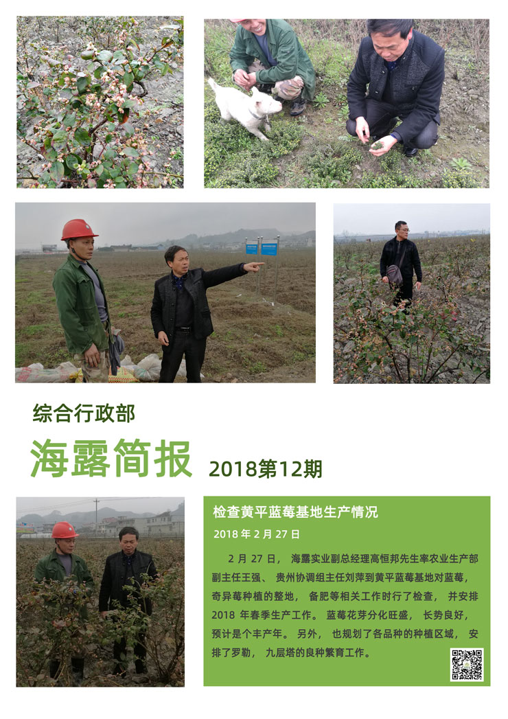 bti体育平台·(中国)官方网站