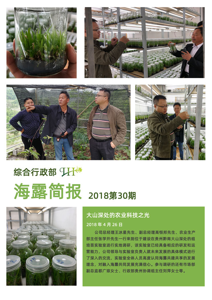 bti体育平台·(中国)官方网站