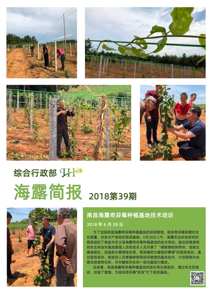 bti体育平台·(中国)官方网站