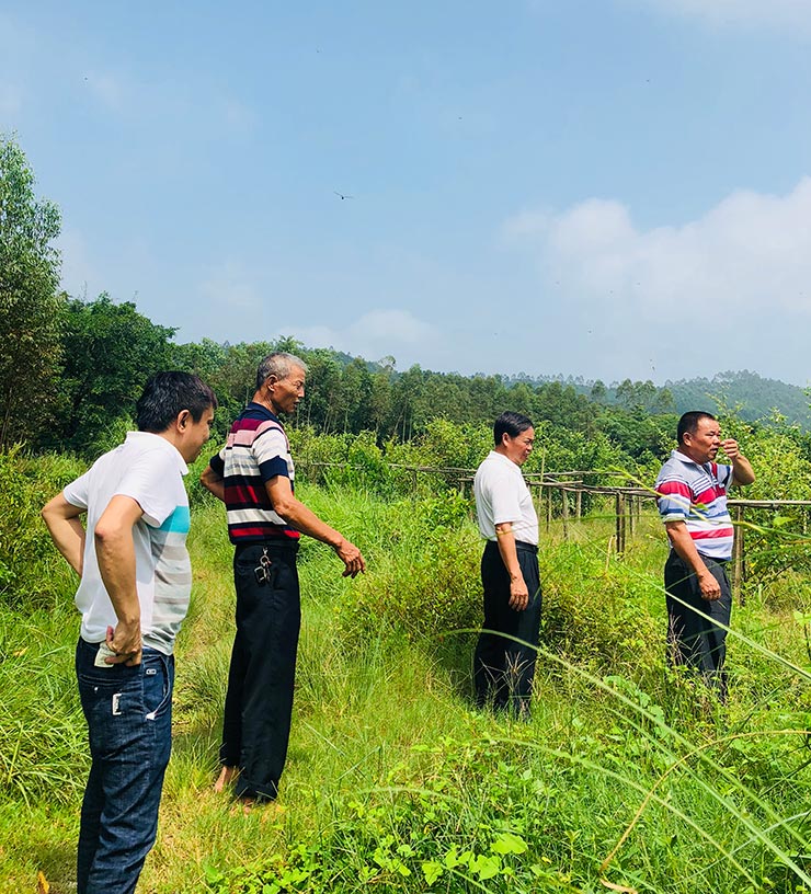 bti体育平台·(中国)官方网站