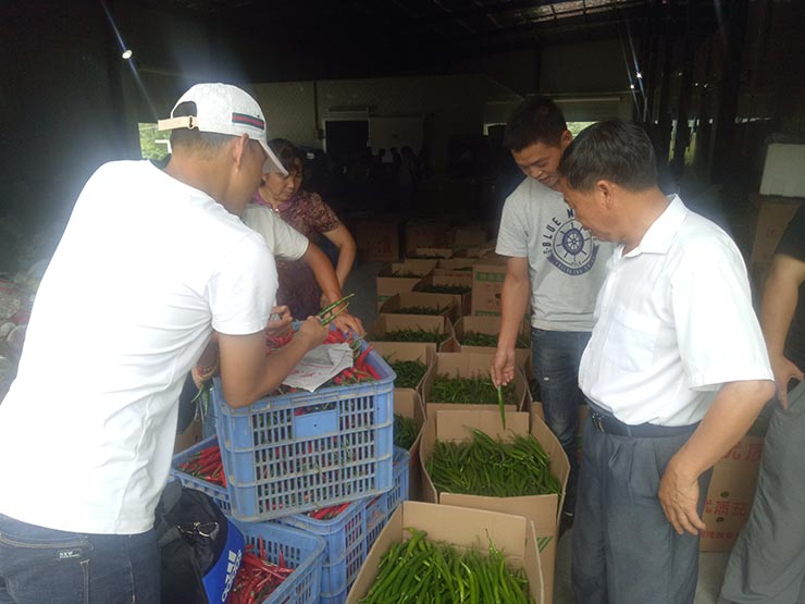 bti体育平台·(中国)官方网站