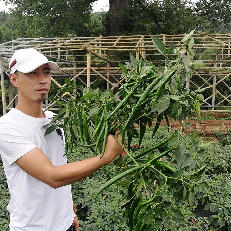 bti体育平台·(中国)官方网站