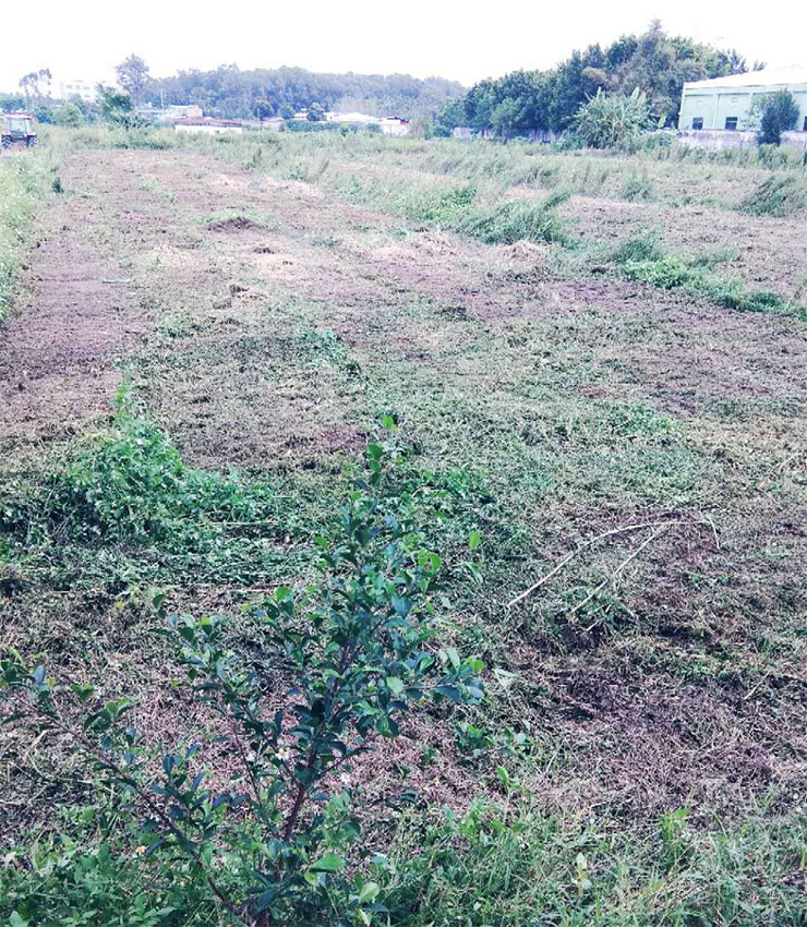 bti体育平台·(中国)官方网站