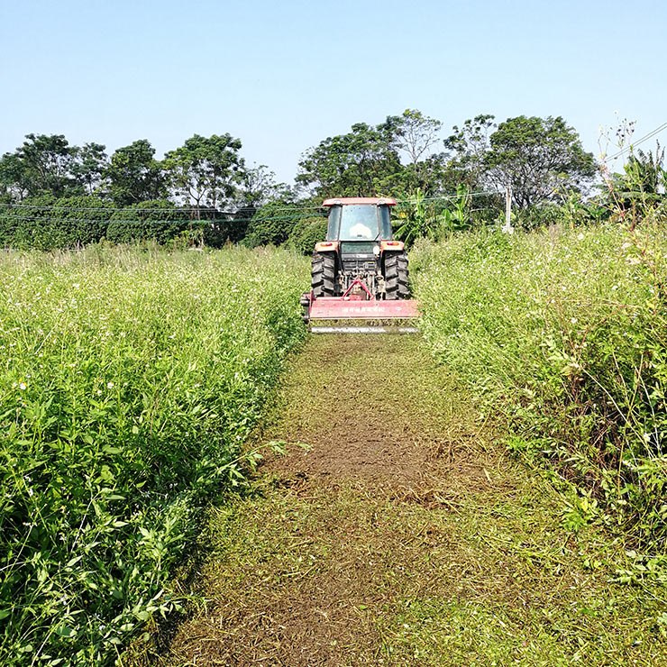 bti体育平台·(中国)官方网站