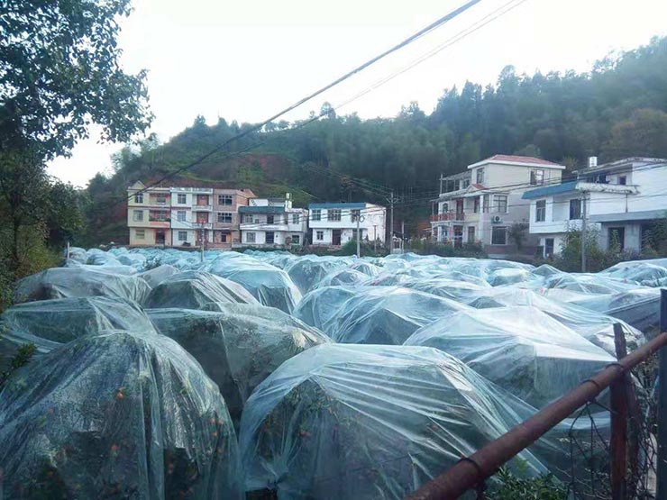 bti体育平台·(中国)官方网站