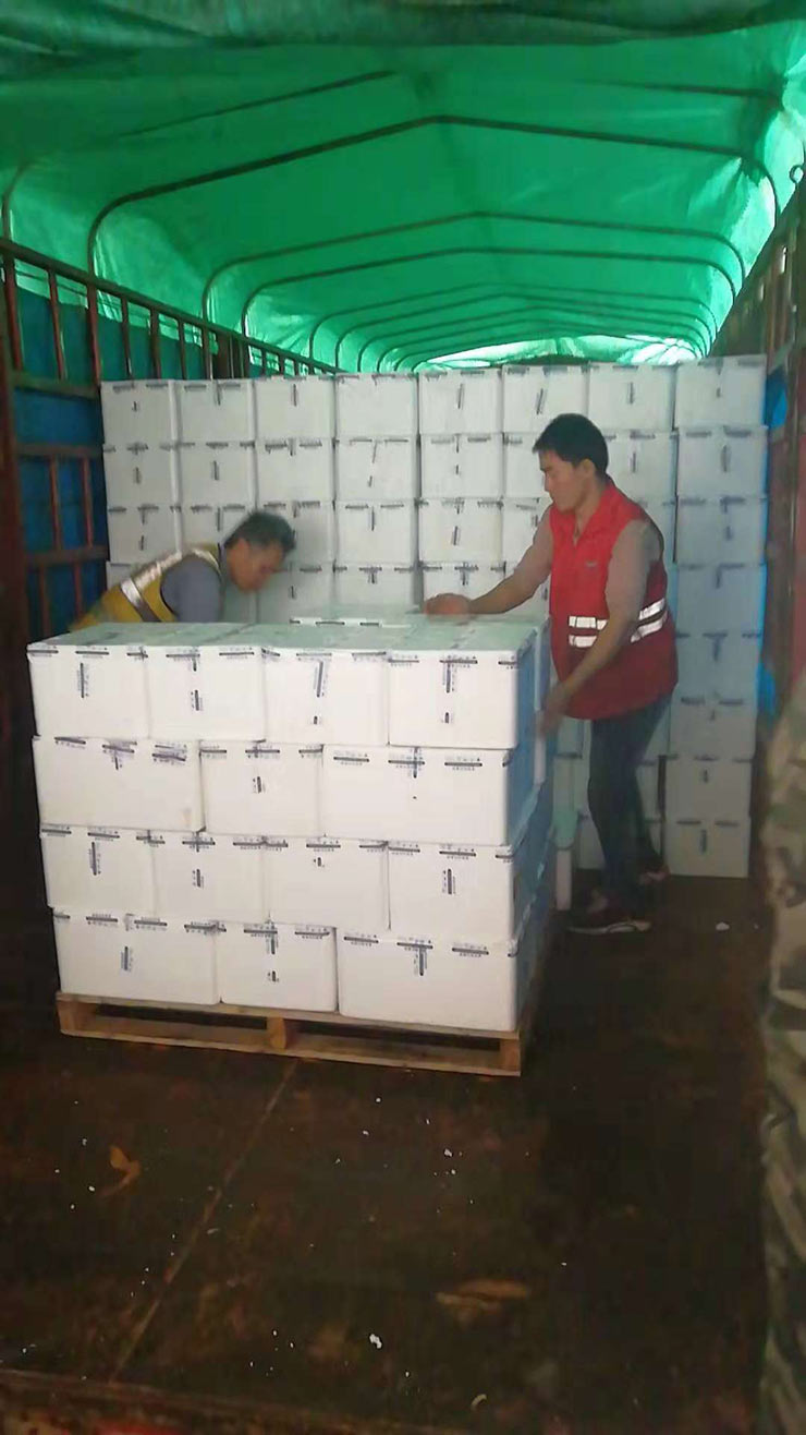 bti体育平台·(中国)官方网站