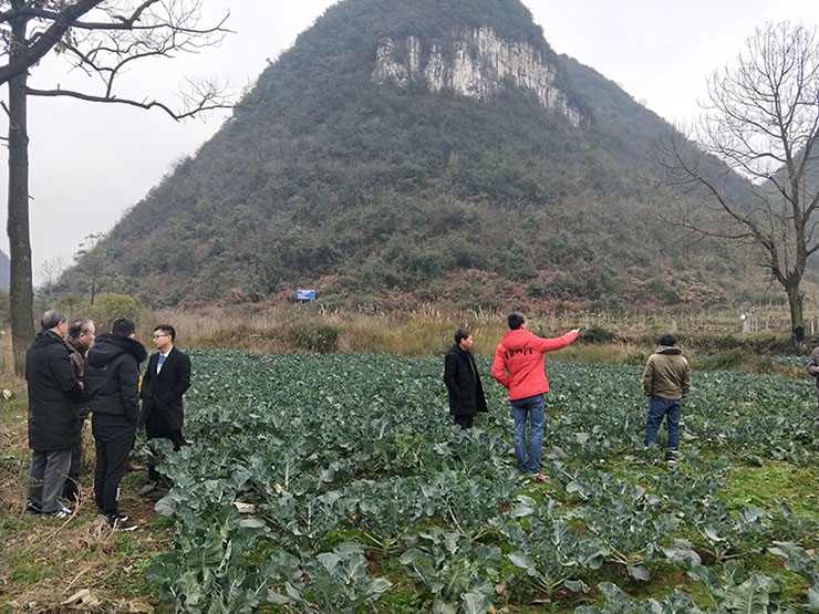 bti体育平台·(中国)官方网站