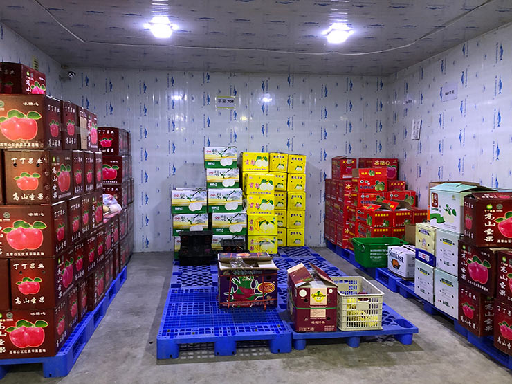 bti体育平台·(中国)官方网站