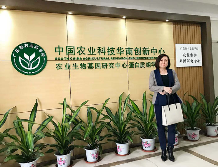 bti体育平台·(中国)官方网站