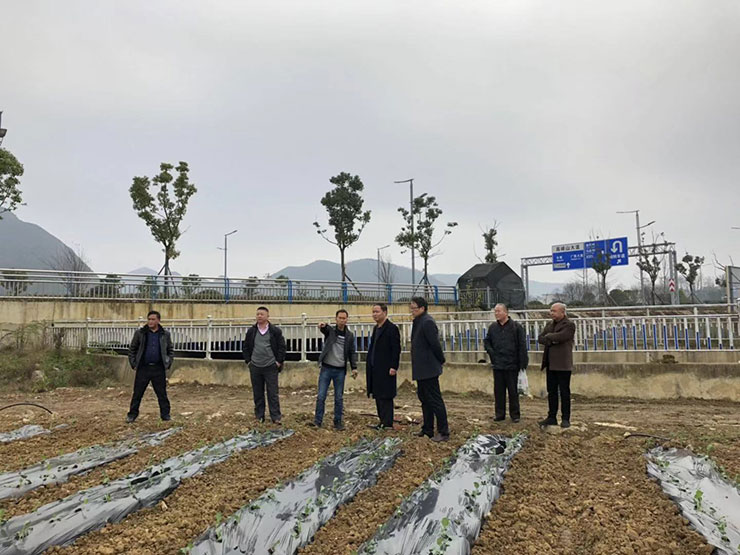 bti体育平台·(中国)官方网站