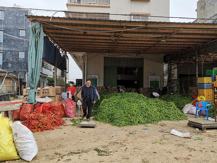 bti体育平台·(中国)官方网站