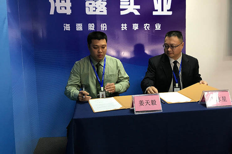 bti体育平台·(中国)官方网站