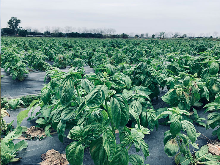 bti体育平台·(中国)官方网站