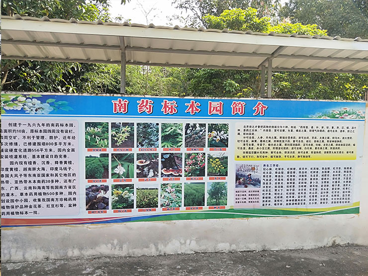 bti体育平台·(中国)官方网站