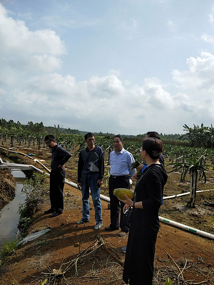 bti体育平台·(中国)官方网站