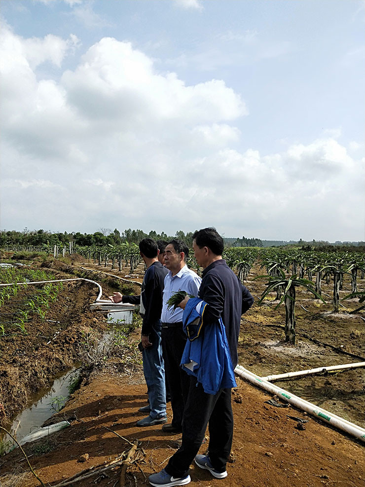 bti体育平台·(中国)官方网站