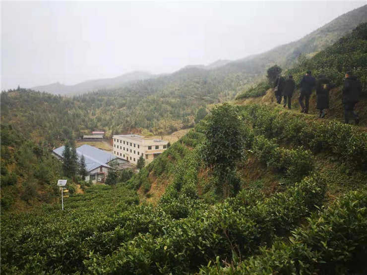 bti体育平台·(中国)官方网站