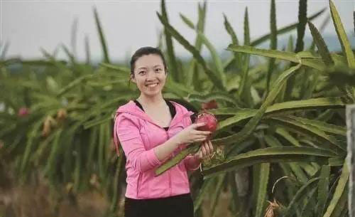 bti体育平台·(中国)官方网站