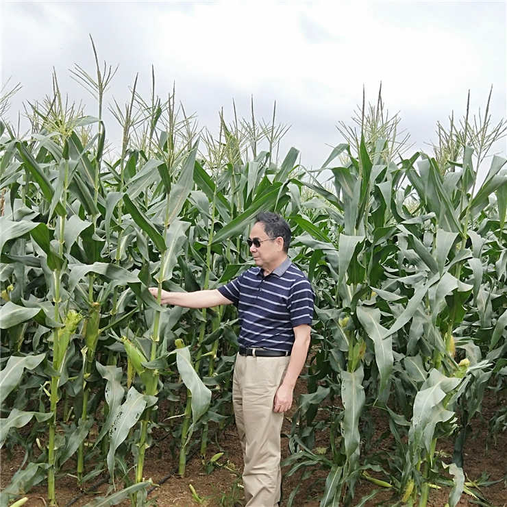 bti体育平台·(中国)官方网站