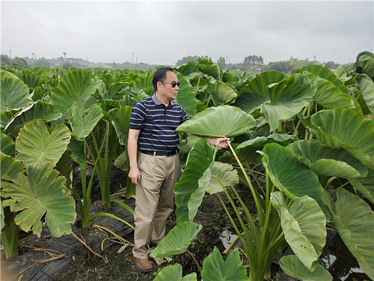bti体育平台·(中国)官方网站