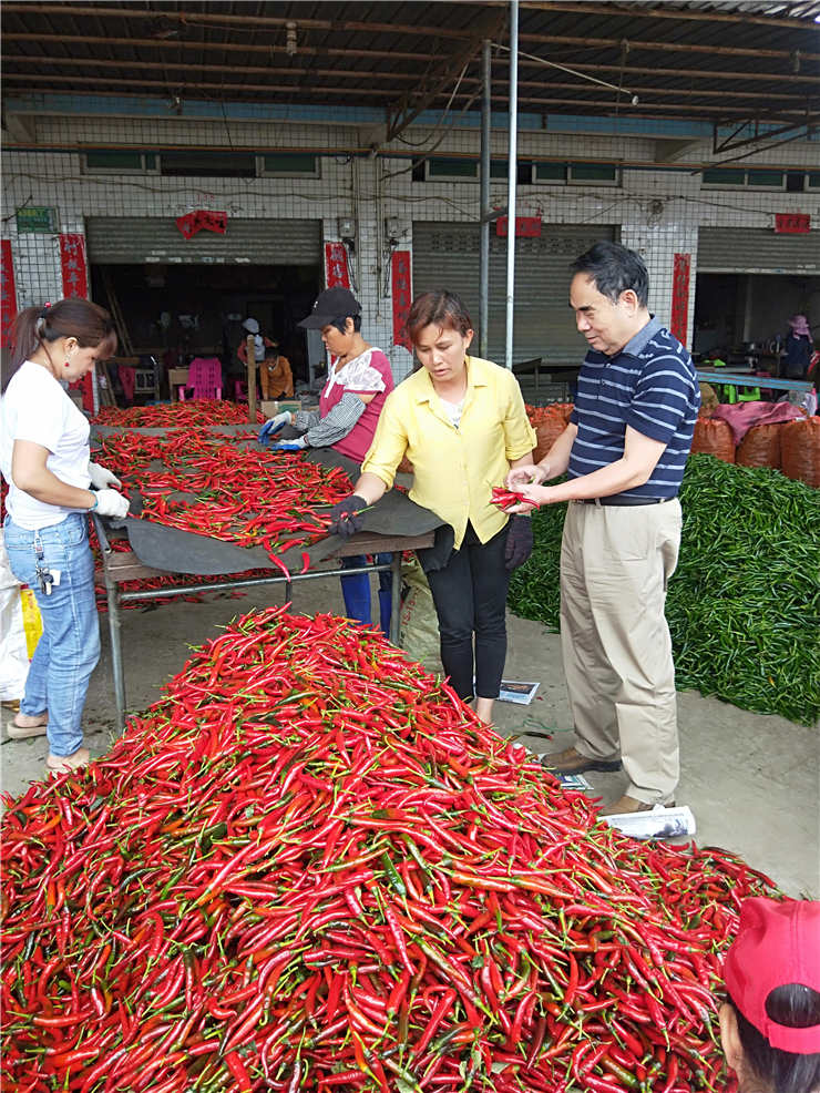 bti体育平台·(中国)官方网站