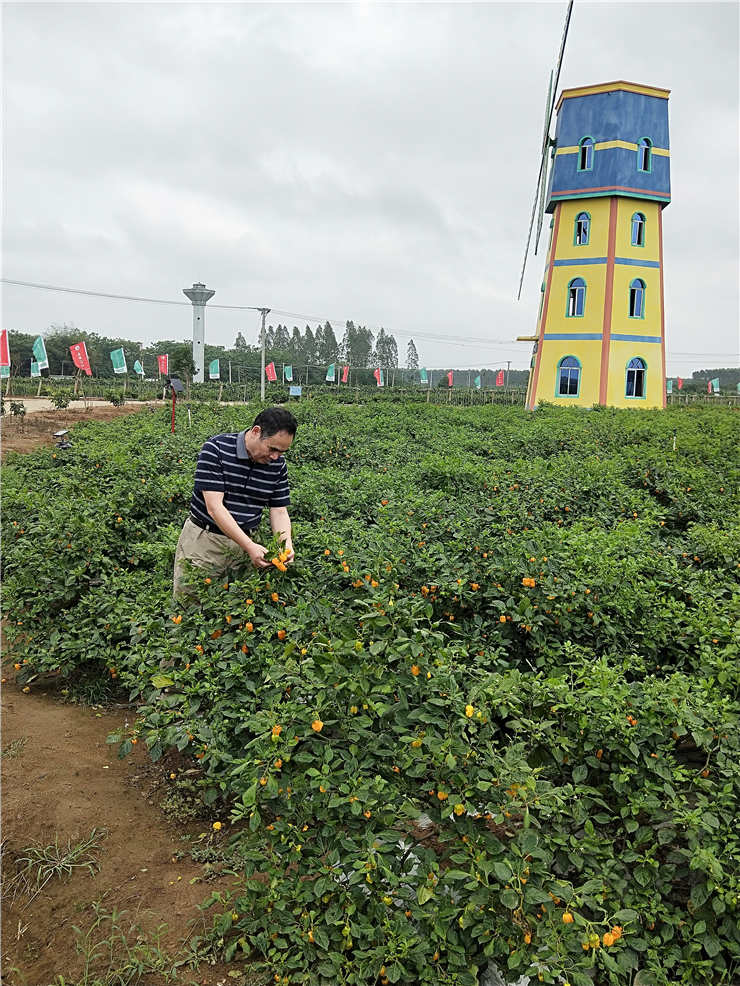 bti体育平台·(中国)官方网站