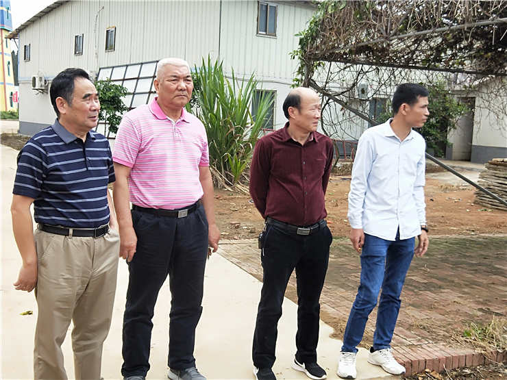 bti体育平台·(中国)官方网站