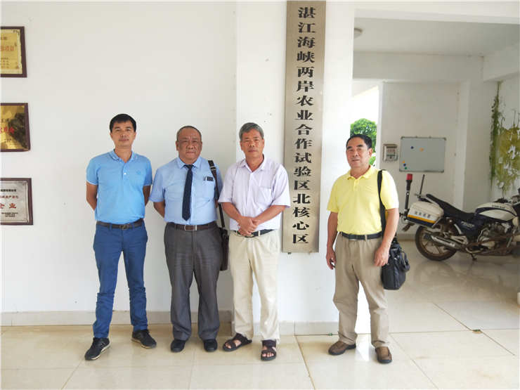 bti体育平台·(中国)官方网站