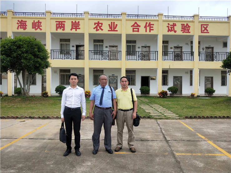 bti体育平台·(中国)官方网站