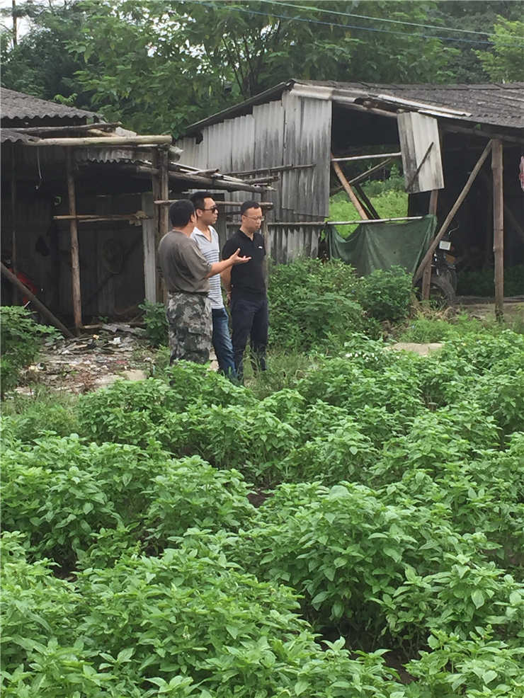 bti体育平台·(中国)官方网站