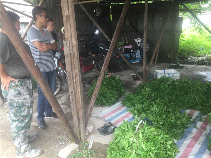 bti体育平台·(中国)官方网站