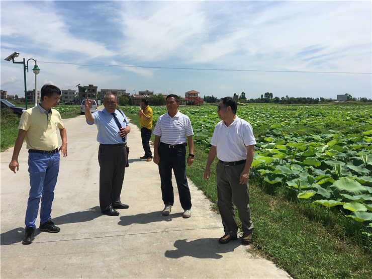 bti体育平台·(中国)官方网站