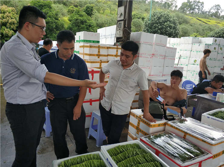 bti体育平台·(中国)官方网站