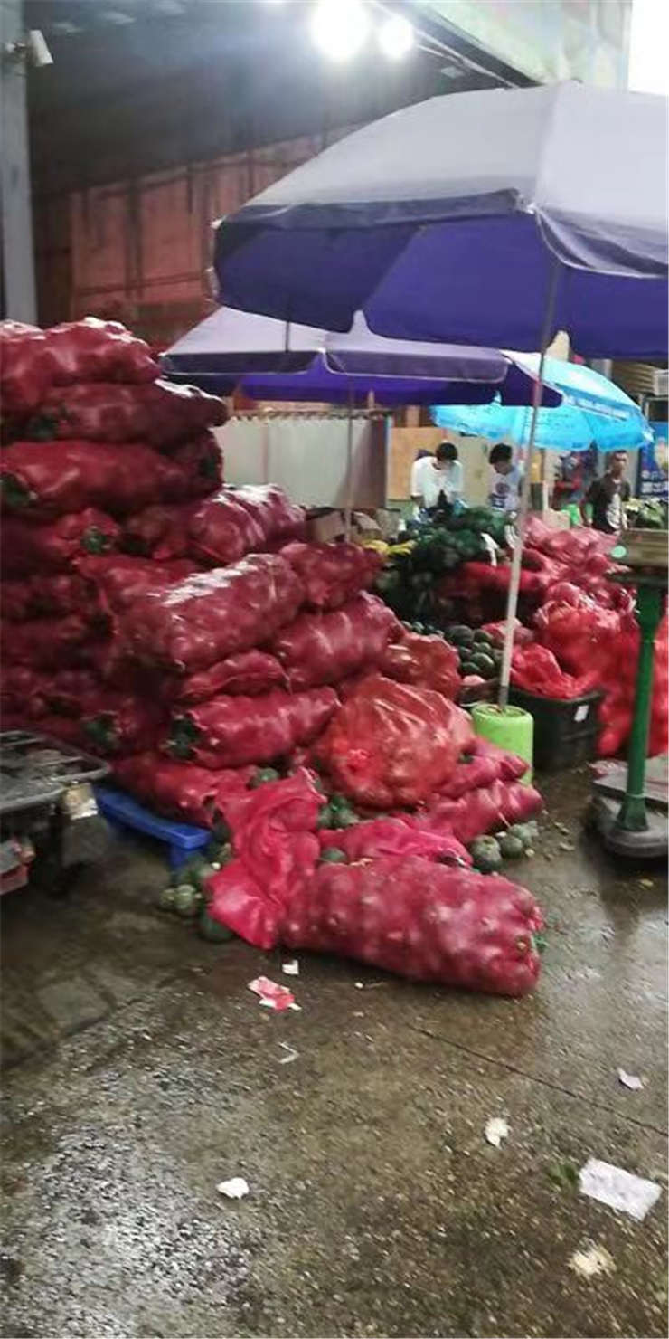 bti体育平台·(中国)官方网站