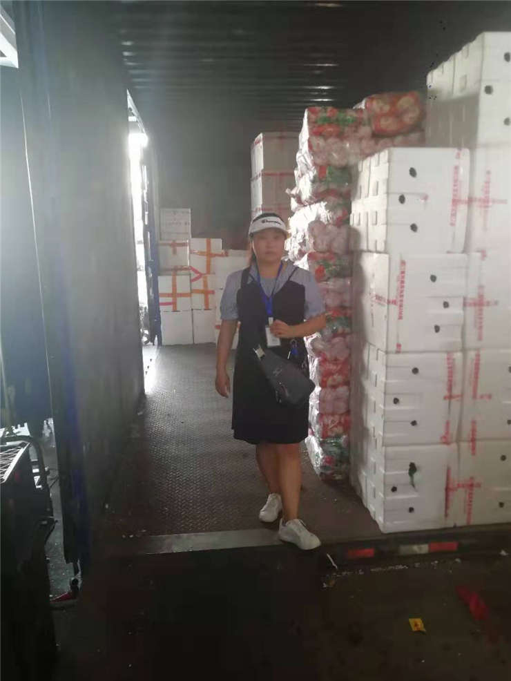 bti体育平台·(中国)官方网站