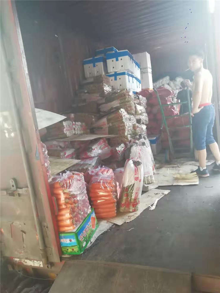 bti体育平台·(中国)官方网站