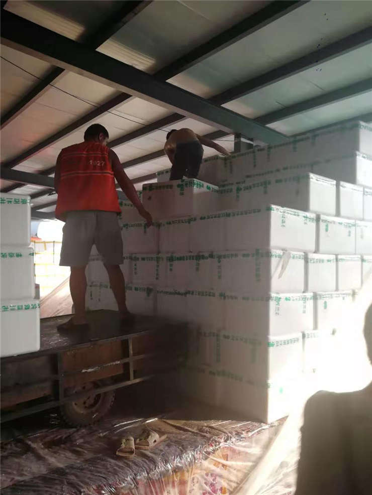 bti体育平台·(中国)官方网站