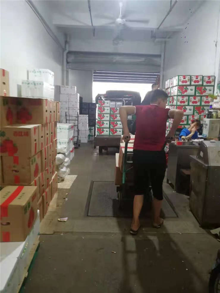 bti体育平台·(中国)官方网站