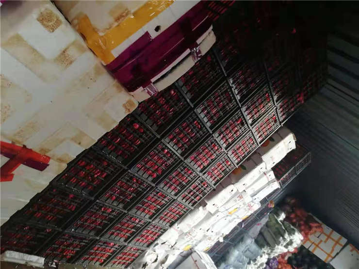 bti体育平台·(中国)官方网站