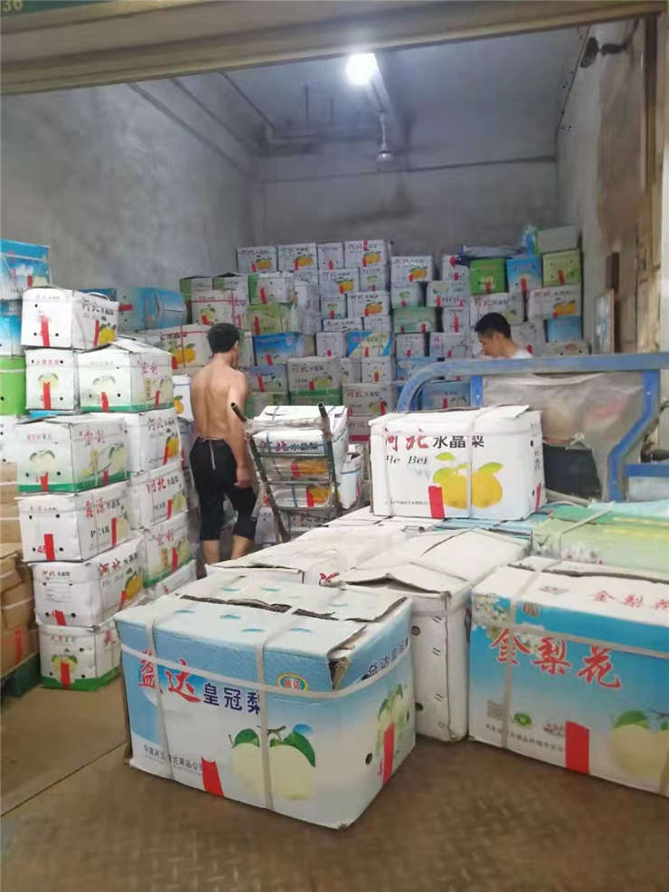 bti体育平台·(中国)官方网站