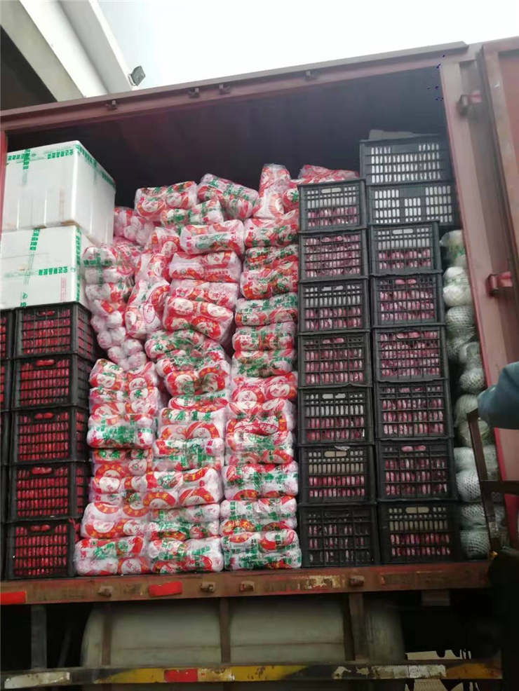 bti体育平台·(中国)官方网站