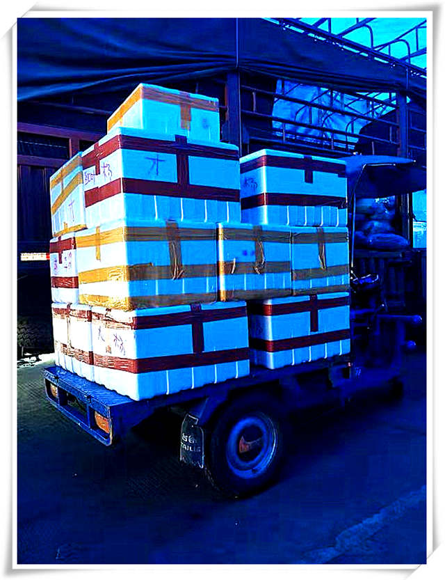 bti体育平台·(中国)官方网站