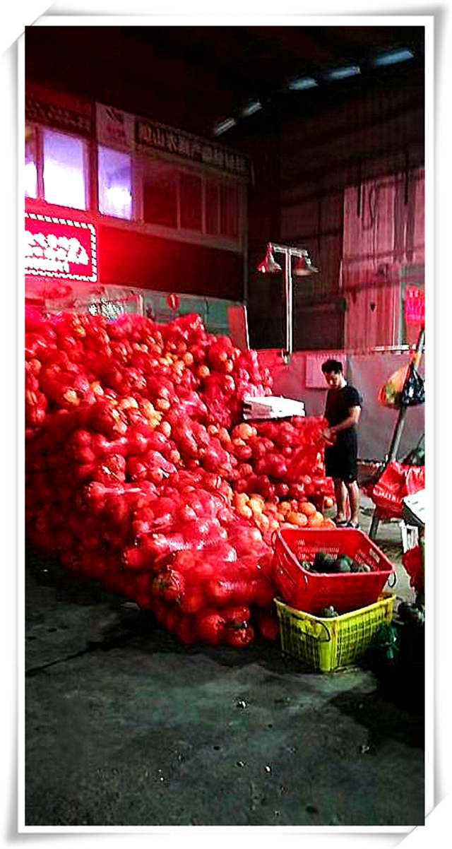 bti体育平台·(中国)官方网站