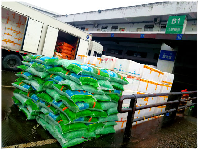 bti体育平台·(中国)官方网站