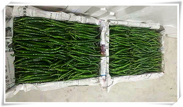 bti体育平台·(中国)官方网站