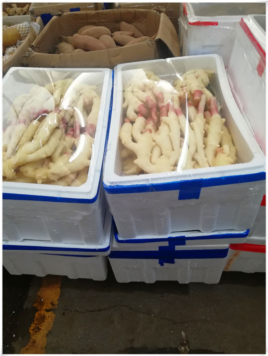 bti体育平台·(中国)官方网站