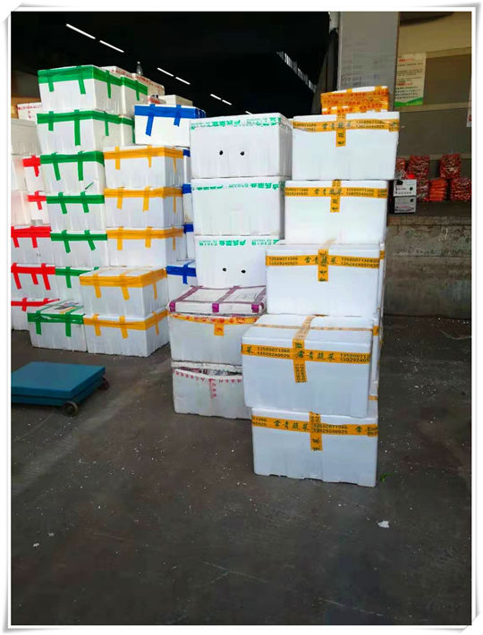 bti体育平台·(中国)官方网站