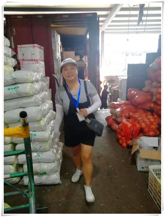 bti体育平台·(中国)官方网站