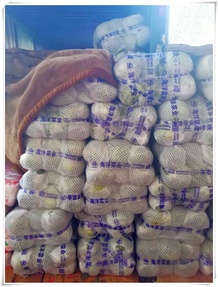 bti体育平台·(中国)官方网站